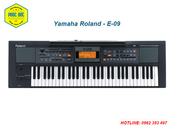 roland---e-09